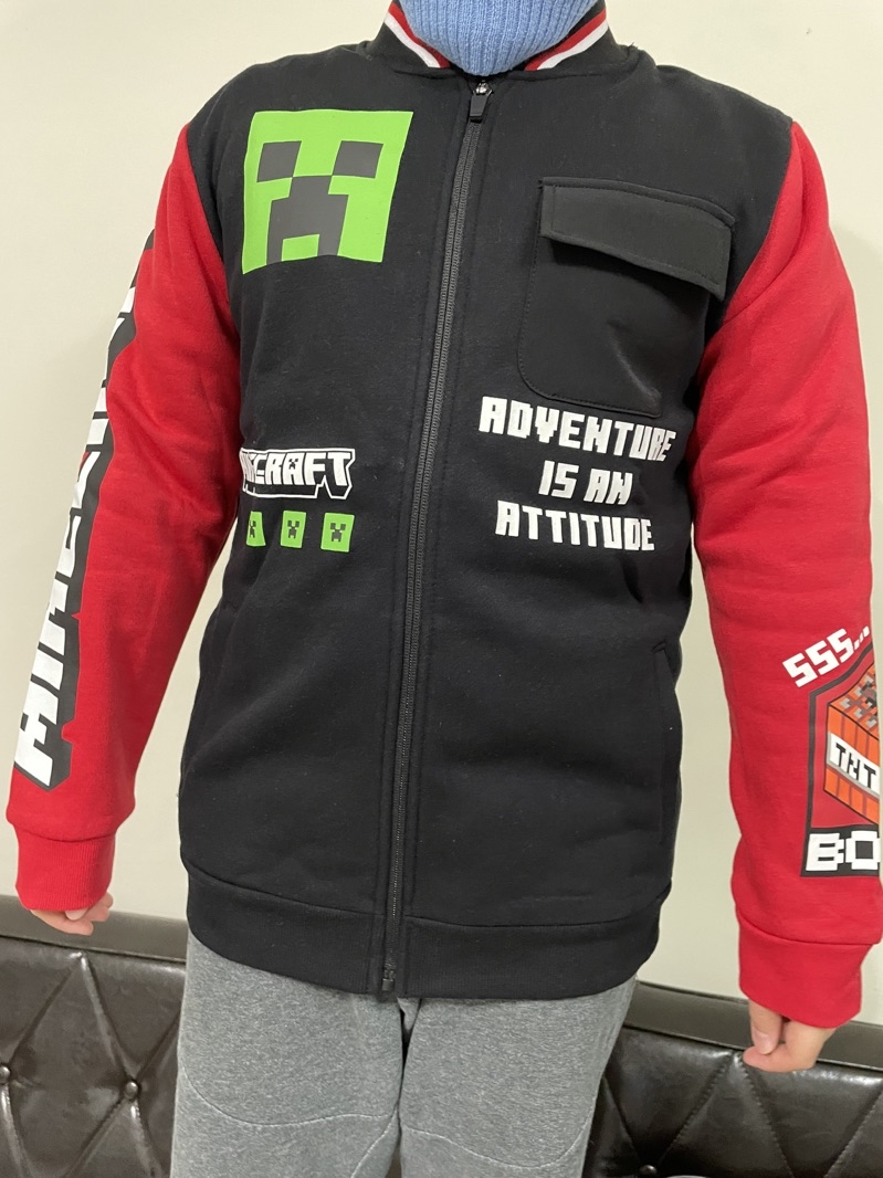現貨 ️2024最新款Minecraft 我的世界麥塊苦力怕創世神衣服棉質外套男童上衣薄絨棒球外套衣服 | 蝦皮購物