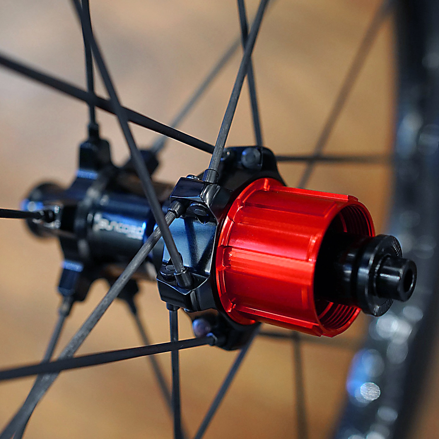 SUNCORD 碳纖波浪輪brompton Birdy 20 SUNCORD 碳纖波浪輪brompton Birdy 20