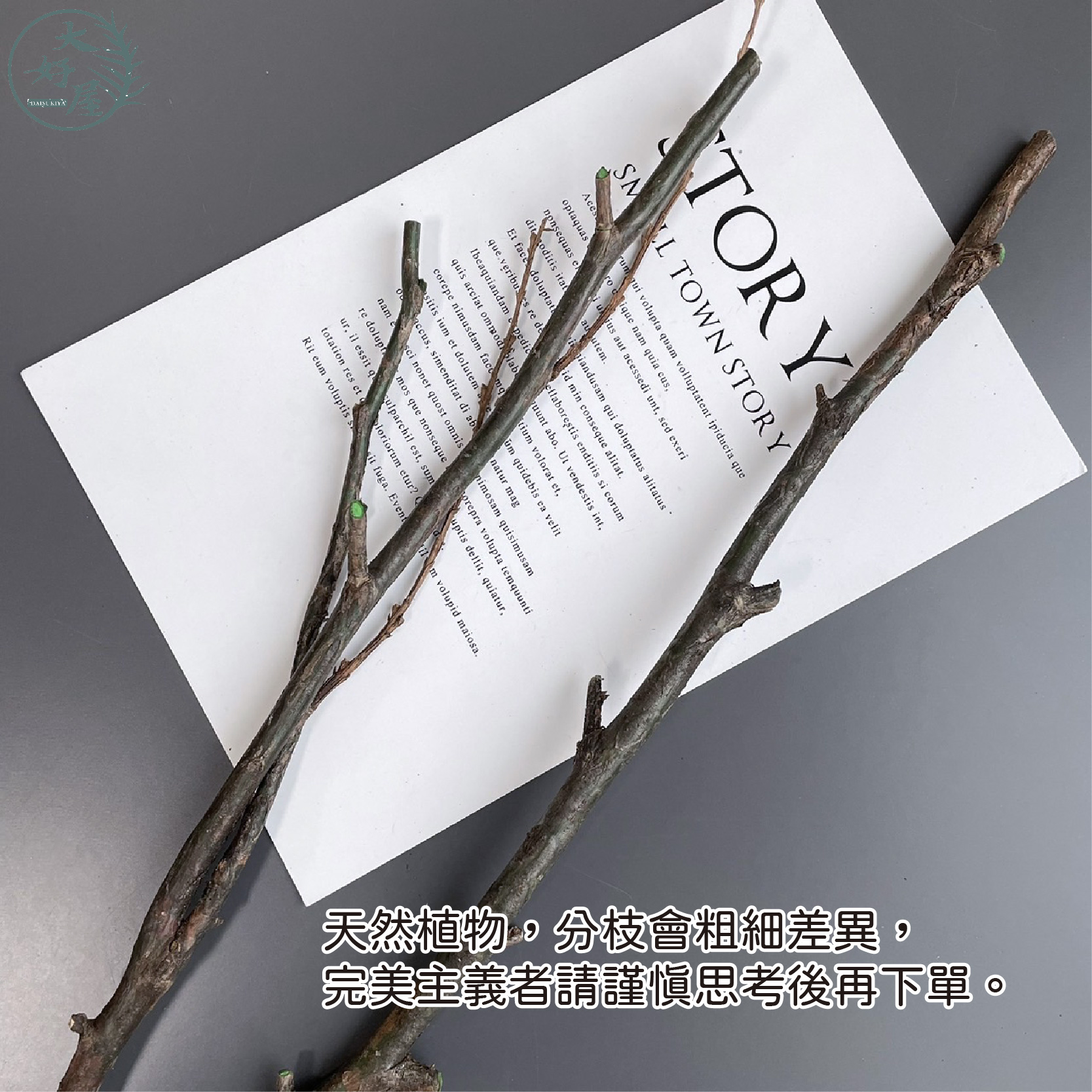 大好屋 現貨 木片 天然原木片 年輪木片 木片木頭 樹枝木條 木頭底座 攝影道具 春節 新年裝飾 杯墊 松木片 新春配件 | 蝦皮購物
