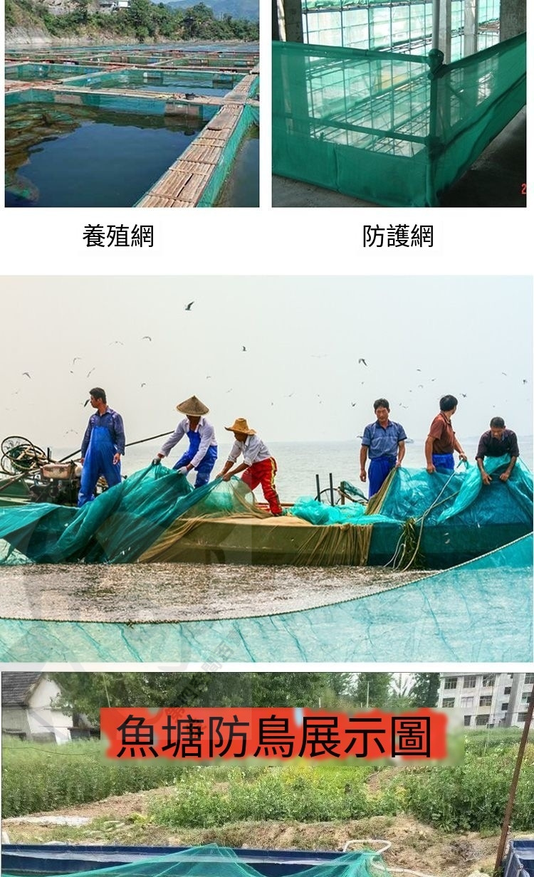{台灣出貨}可開發票 100米家禽養雞網 欄雞網 養殖網 菜園網 圍山雞網 防雞網 圍欄網 尼龍網熱銷 | 蝦皮購物
