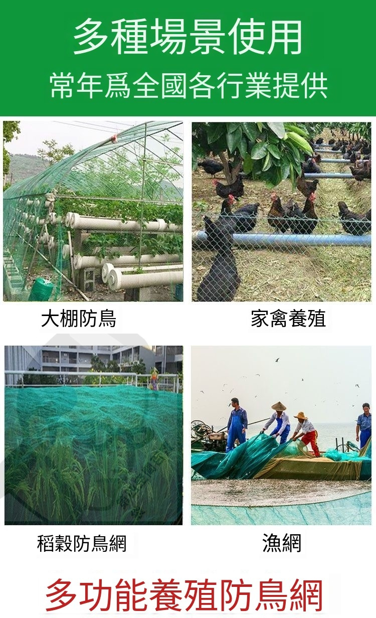 {台灣出貨}可開發票 100米家禽養雞網 欄雞網 養殖網 菜園網 圍山雞網 防雞網 圍欄網 尼龍網熱銷 | 蝦皮購物