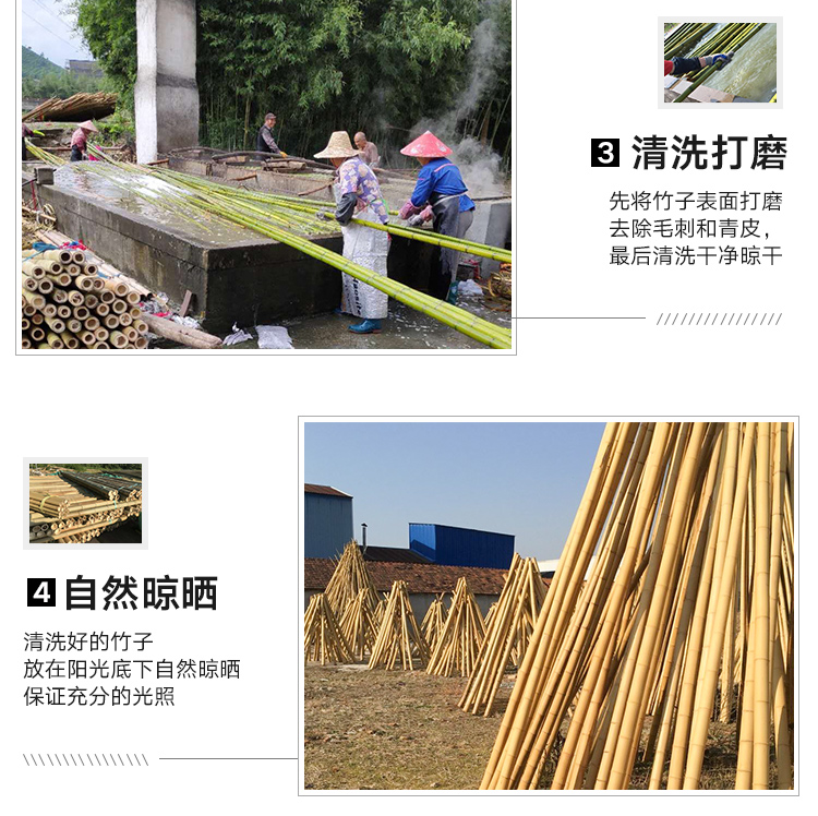 YINXIANGJIA 粗竹竿 干竹子 楠竹 防腐 大毛竹 裝飾屏風隔斷搭架造景竹桿竹條 | 蝦皮購物