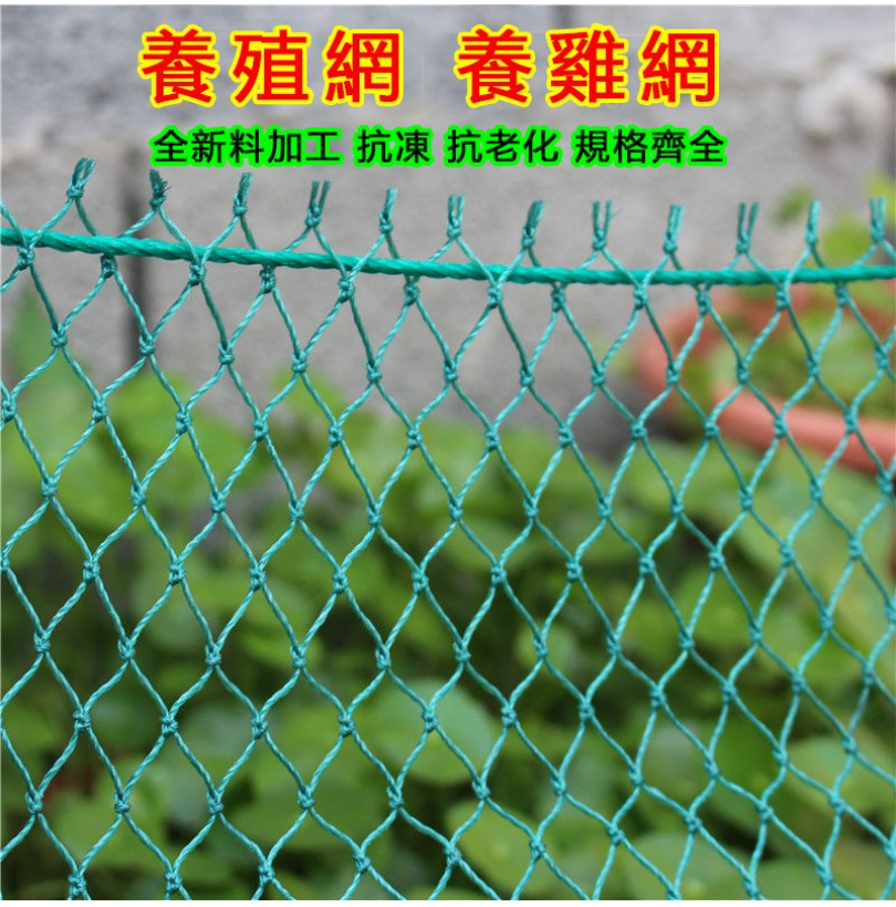 【台灣出貨】 100米家禽養雞網 欄雞網 養殖網 菜園網 圍山雞網 防雞網 圍欄網 尼龍網 | 蝦皮購物