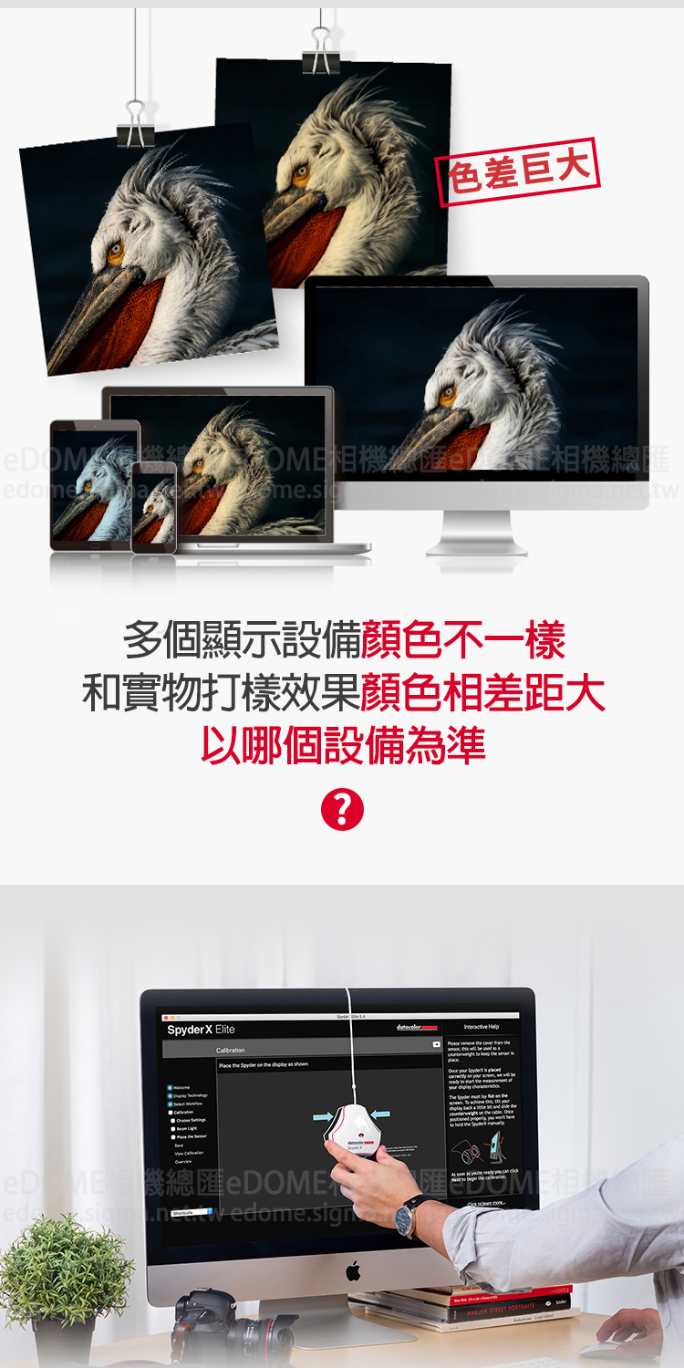 DATACOLOR Spyder X Elite 螢幕校色器 紅蜘蛛 (公司貨) DT-SXE100 色彩管理 | 蝦皮購物