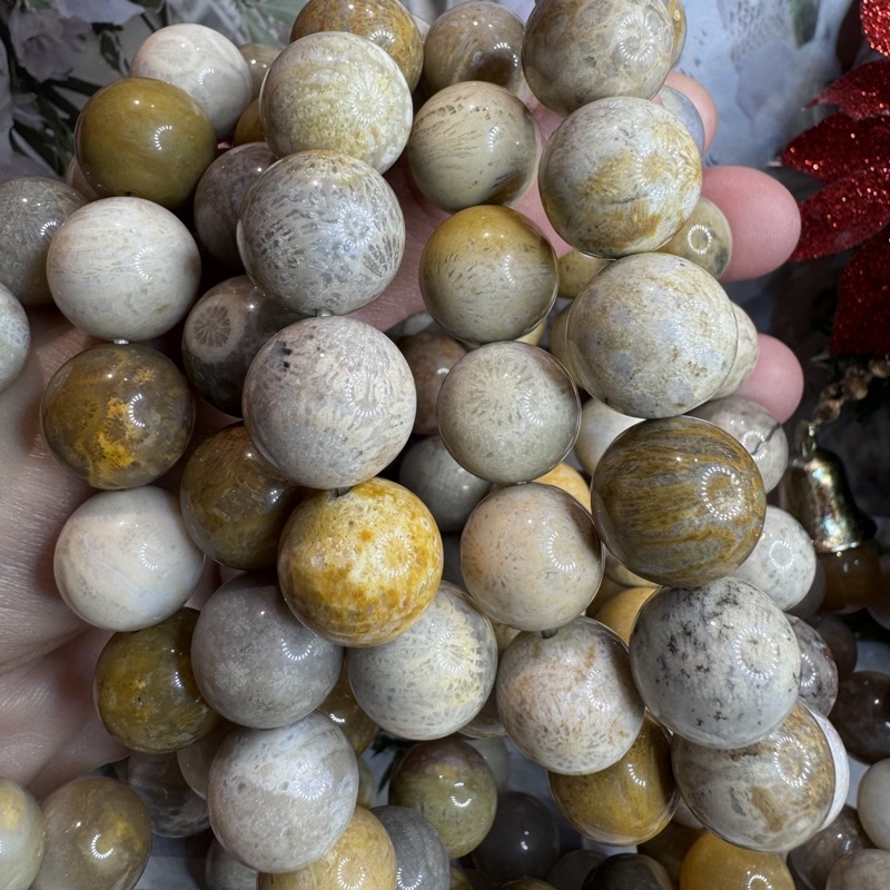 天然珊瑚玉手珠發財玉手珠菊花玉手珠♥️8mm~14mm可挑選❤️珊瑚