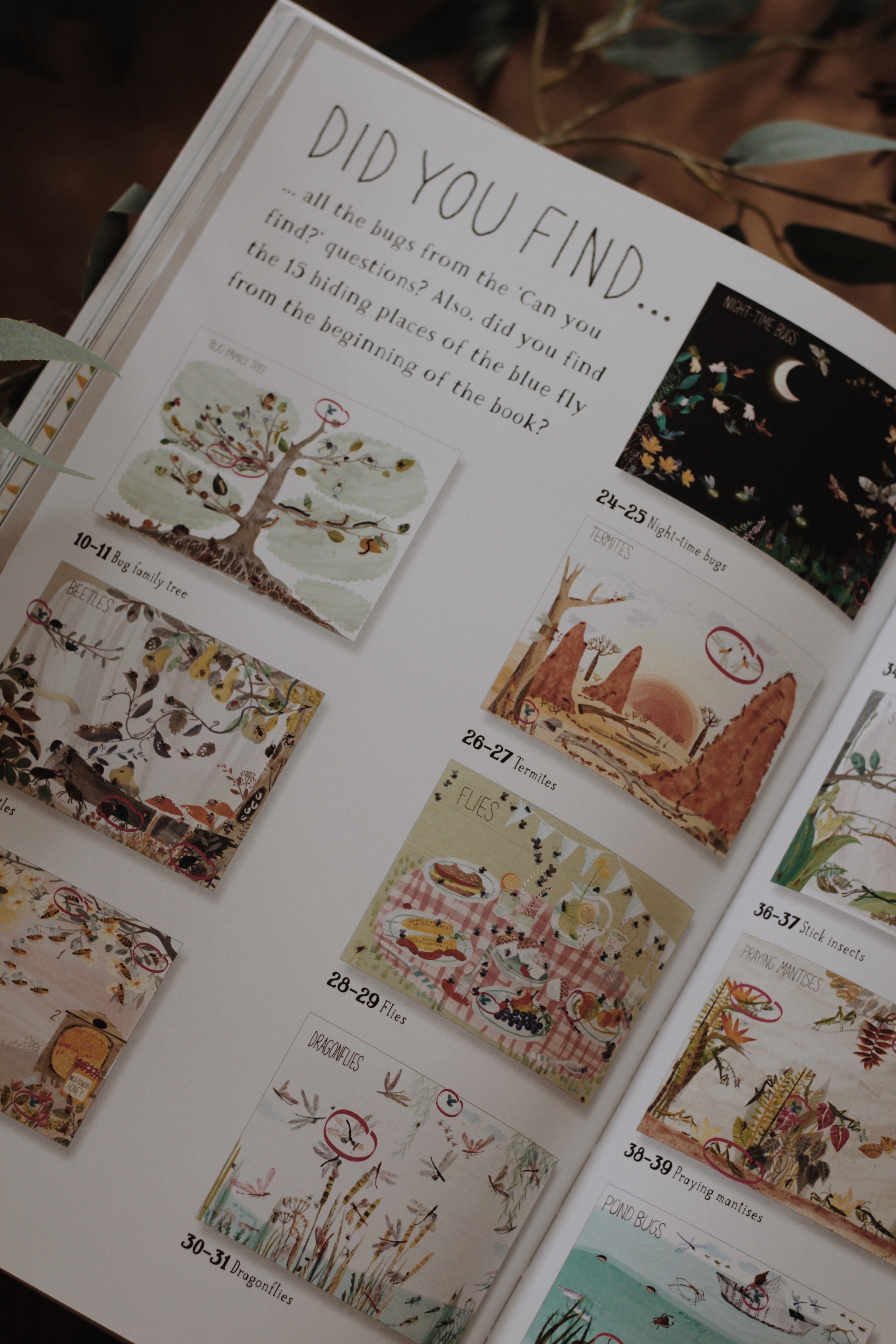 現貨🍀精裝英文知識科普繪本The Big Book of Bugs蟲蟲大書 🍀插畫家Yuval Zommer🍀缺書店 | 蝦皮購物