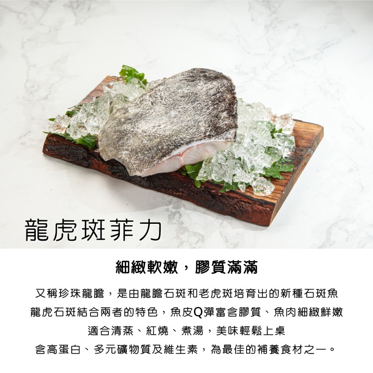 【冷凍免運★優質蛋白海鮮箱】挪威鮭鱒/金目鱸魚/生態白蝦仁/日本生食級干貝/龍虎斑清肉菲力｜無毒養殖｜專利淨水｜銀色大門 | 蝦皮購物