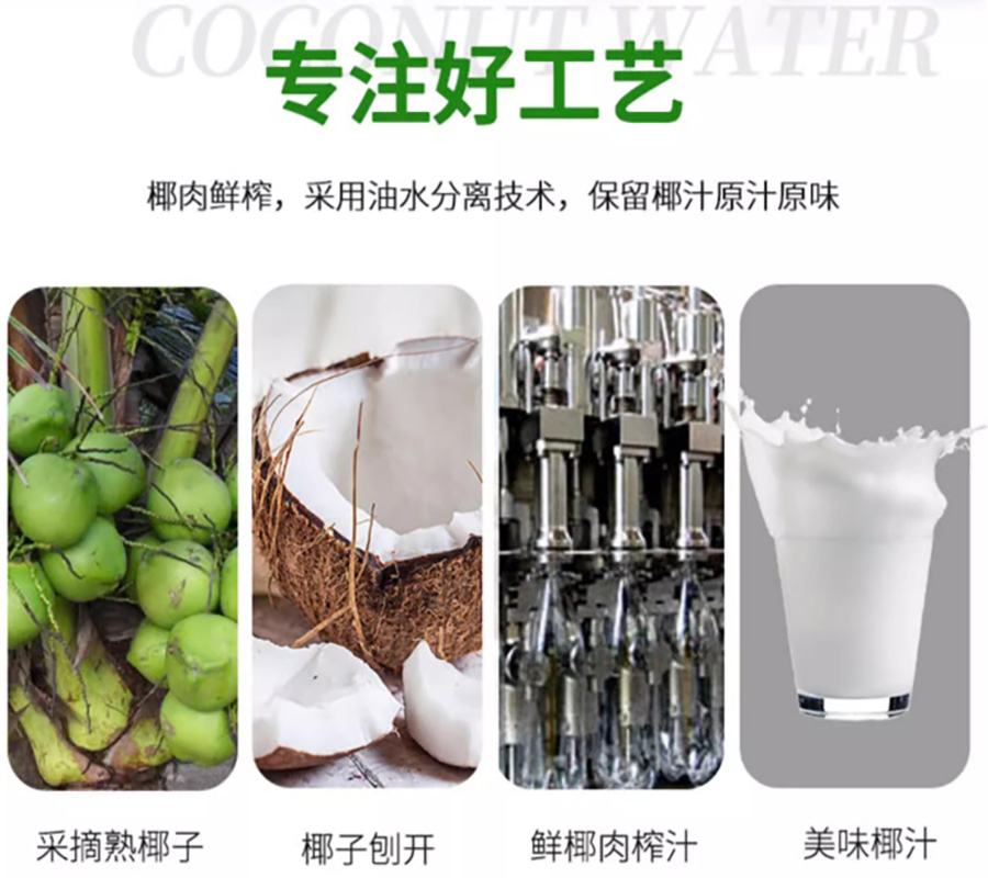 正宗椰汁椰樹牌 海南島特產椰奶 245ML / 1升/1.25L 不加椰精 不加香精 | 蝦皮購物