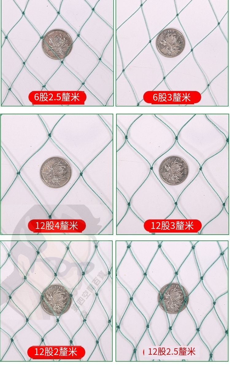 {台灣出貨}可開發票 100米家禽養雞網 欄雞網 養殖網 菜園網 圍山雞網 防雞網 圍欄網 尼龍網熱銷 | 蝦皮購物