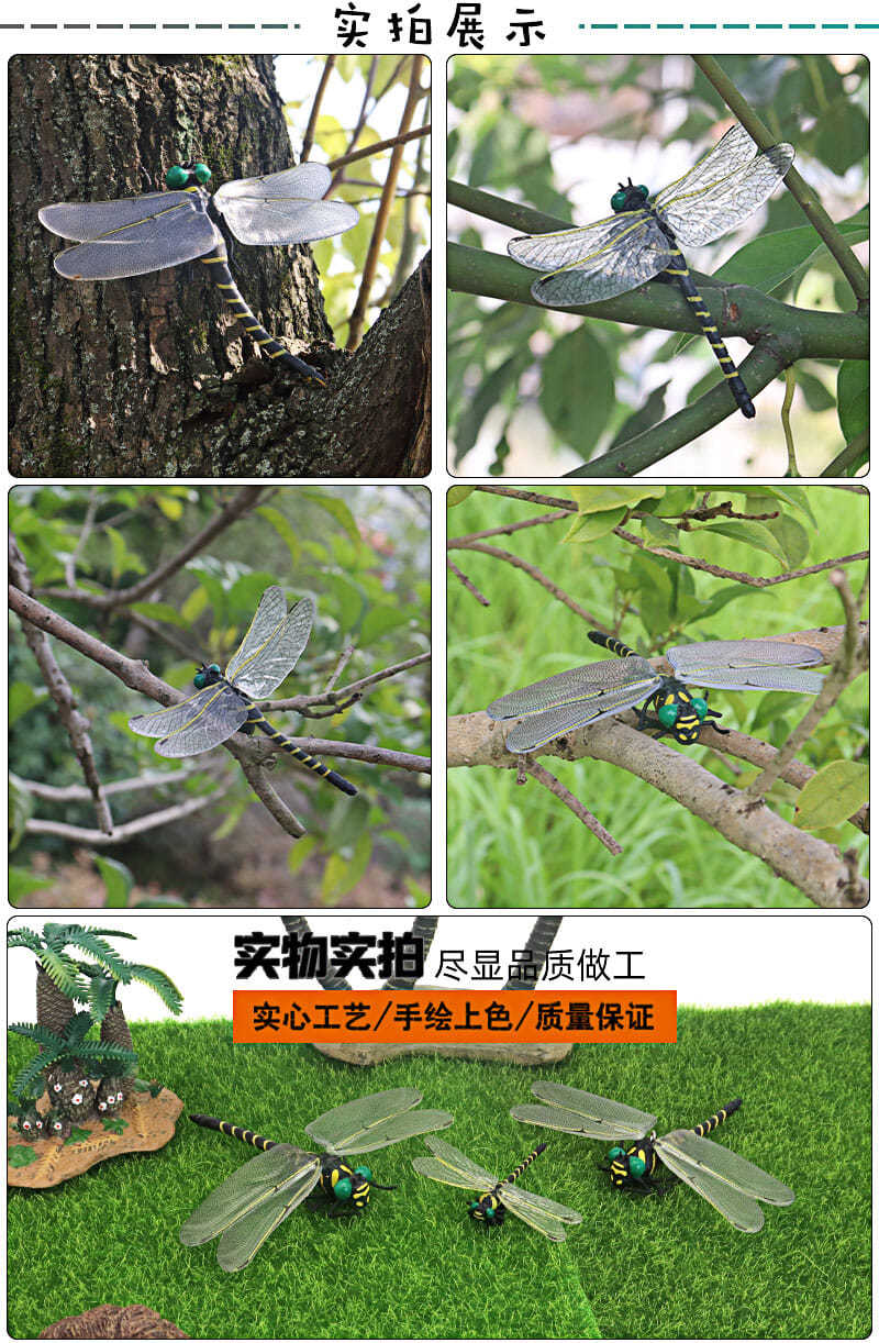 ❁即購入OK ❁.昆虫標本.10点 昆虫標本(1つ1000円)
