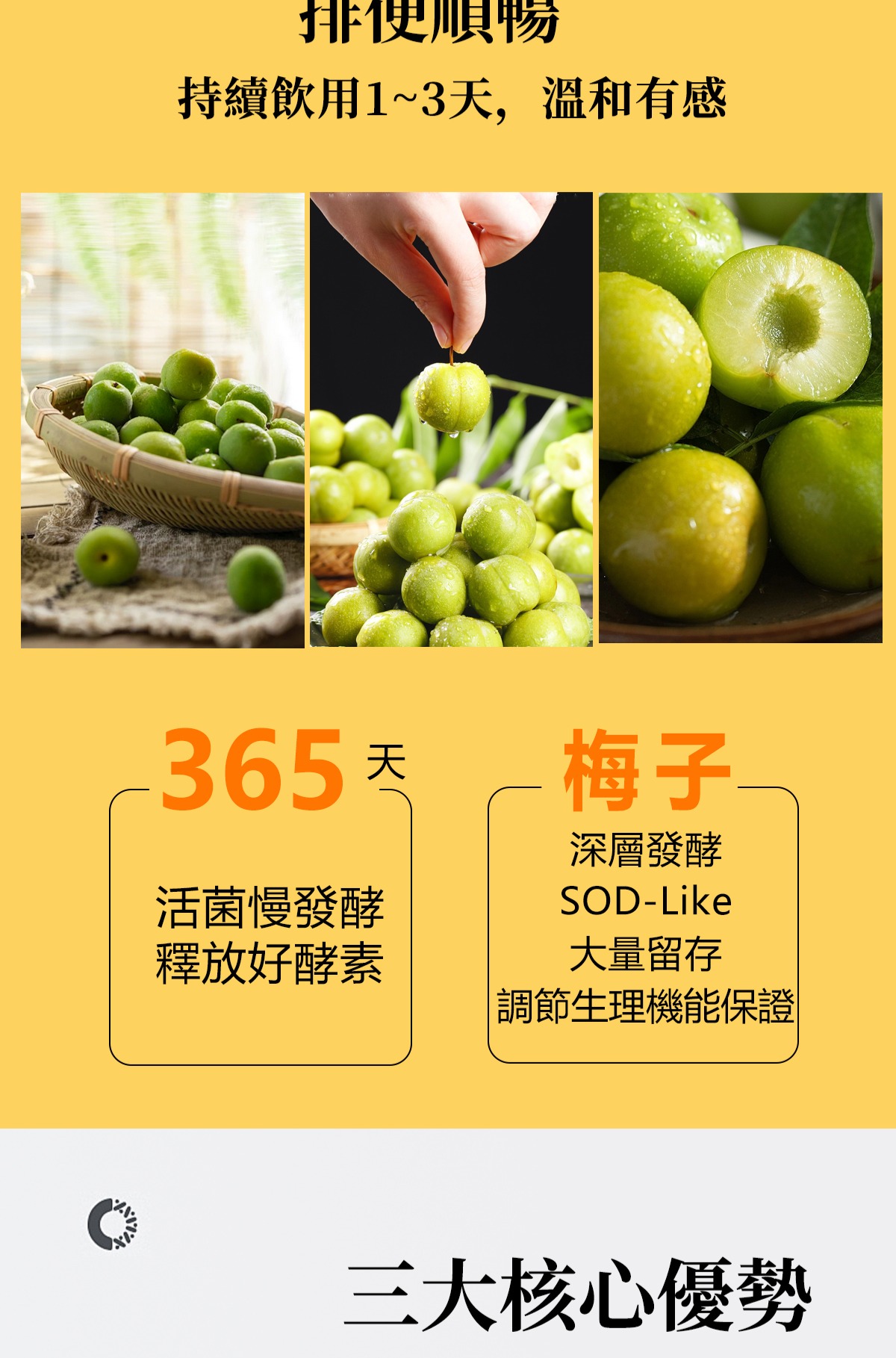 【排便順暢】梅子酵素(發酵液) 10入組｜SOD-Like活性4500萬 Unit/L | 隨身包-清涼酵素 | 蝦皮購物