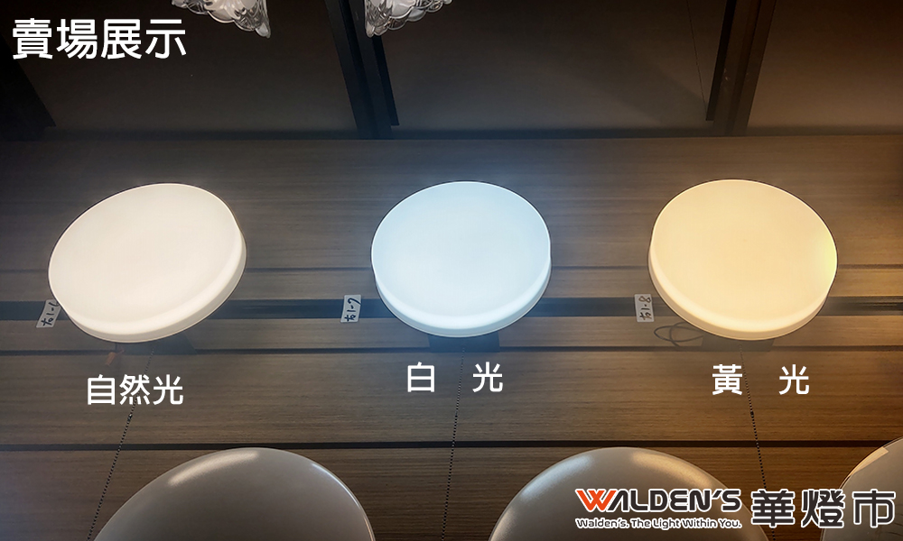 灯具照明_齐鸟家居