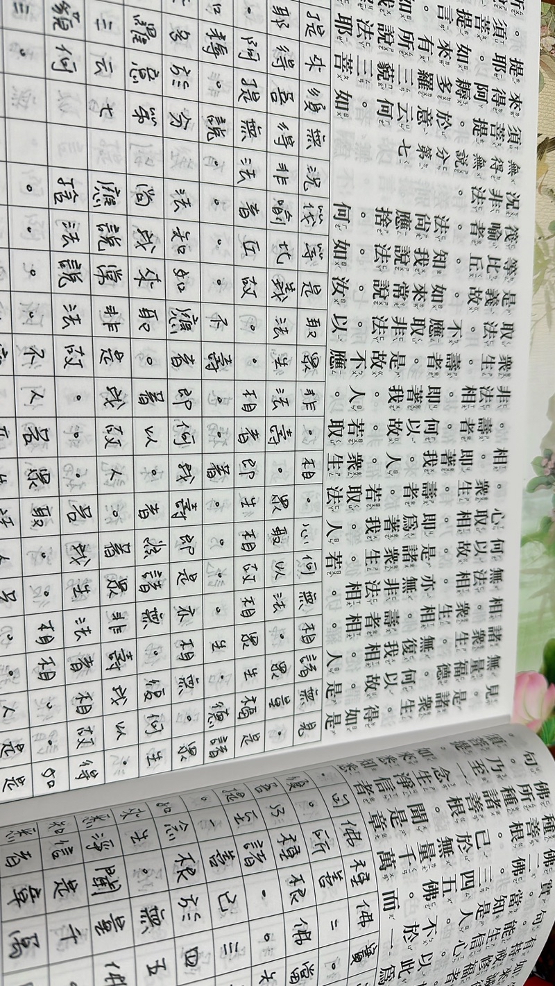 專業經書代寫/各種佛經代寫 金剛經/金剛般若波羅蜜經 | 蝦皮購物