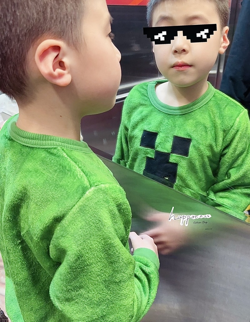 衣斯坦寶｜日版新款 毛絨絨 毛茸茸 Minecraft 麥塊 刷毛 保暖 長袖 上衣 衣服 苦力怕 我的世界 | 蝦皮購物