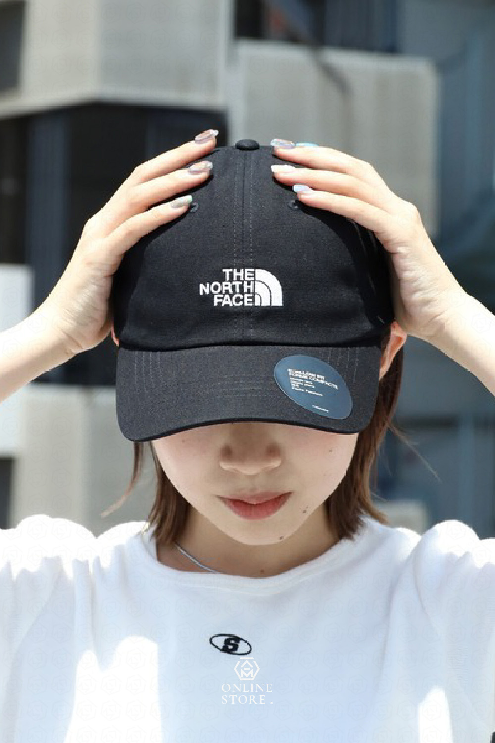 【商城正品｜現貨】The North Face 北臉 北面 TNF 黑白 Logo 電繡 刺繡 軟頂 可調整 Norm | 蝦皮購物