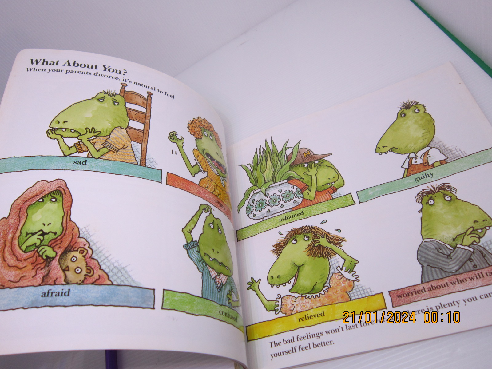 「二手書」英文繪本 Dinosaurs Divorce A Guide for Changing Families 蝦皮購物