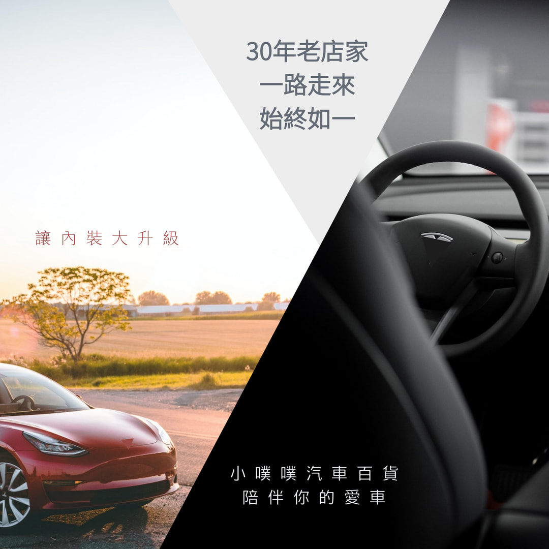🏆【小噗噗】金雷達汽車防盜器09A6 / 通用型/ 熱感應式暗鎖/ 12V / 熱感應鎖台灣製| 蝦皮購物
