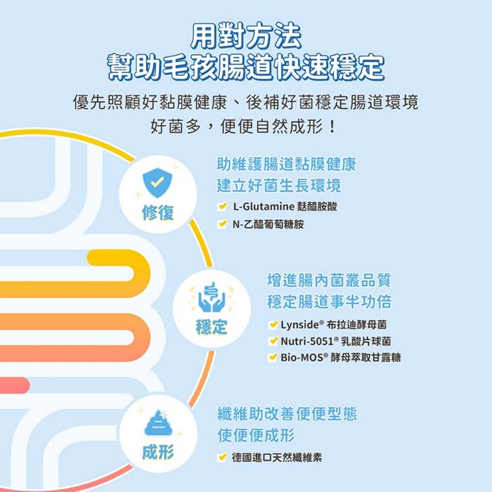 【汪喵星球】軟便剋星 體驗組3包 腸道穩定 便便好成形 舒緩軟便 布拉迪酵母菌 乳酸片球菌 麩醯胺酸 FU7066 | 蝦皮購物