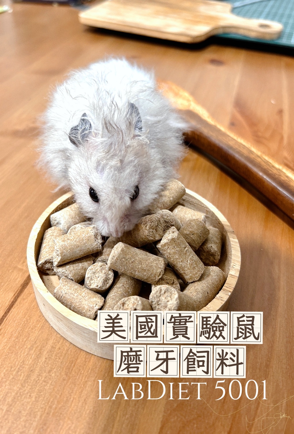 【麻鼠小宅】LabDiet 5001美國實驗鼠磨牙 倉鼠磨牙飼料 睡鼠 黃金鼠 零食 | 蝦皮購物