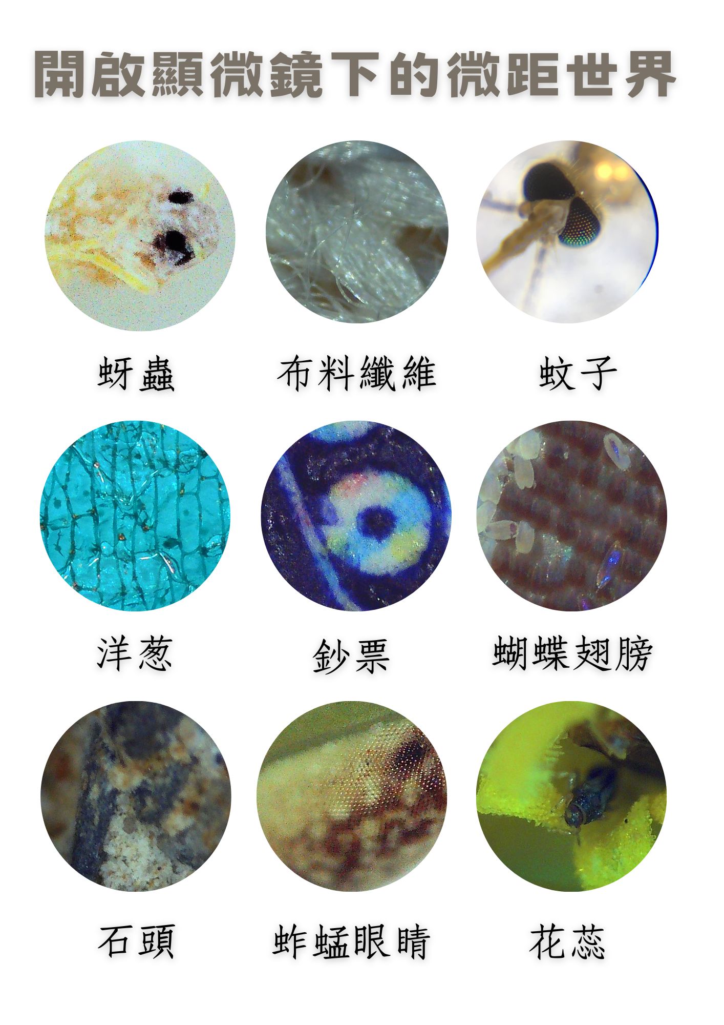 【培玩 PreOne 官方】LJ兒童顯微鏡相機 STEAM學習 科學啟蒙教具 (兒童相機/顯微鏡/兒童玩具/益智玩具） | 蝦皮購物