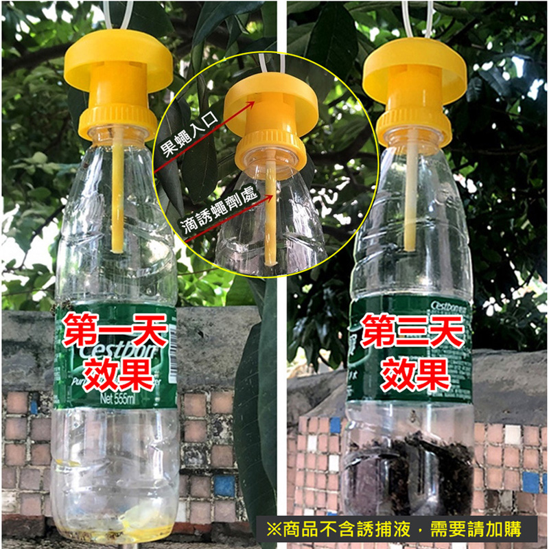 日本 KINCHO金鳥 強效果蠅捕捉器 3入 果蠅 小飛蚊 小黑蚊 昆蟲 體積小 廚房 绍興酒 黑醋 簡單易用-揪揪日貨