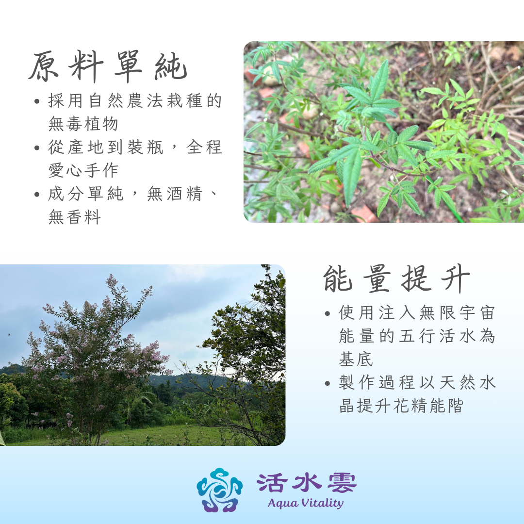 《活水雲｜情緒五行花精系列》巴赫七大類情緒花精 五行 台灣花精 能量花精 能量噴霧 身心療癒 情緒穩定 生活舒壓 心靈療 | 蝦皮購物