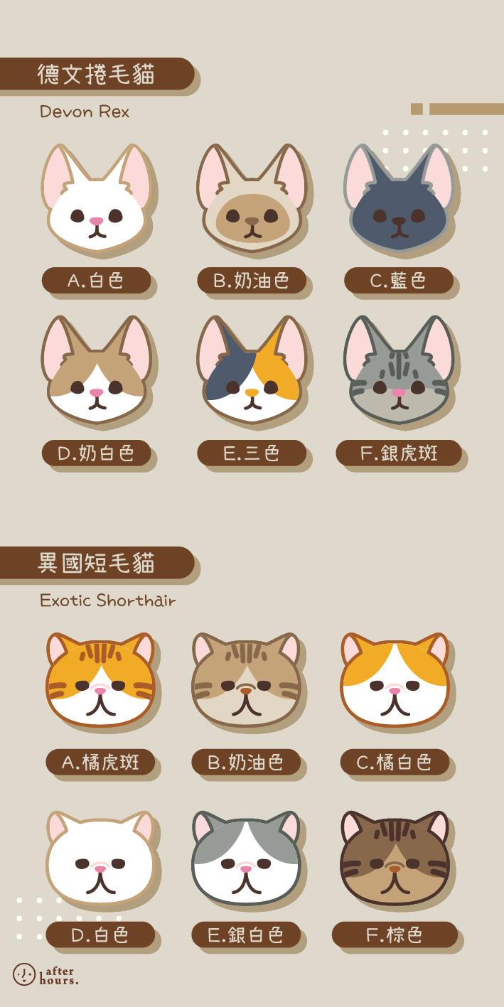 NFC版 【貓咪款 Cats】客製化電繡寵物名牌 /刺繡寵物名牌/ 寵物名牌 #Afterhours Studio | 蝦皮購物