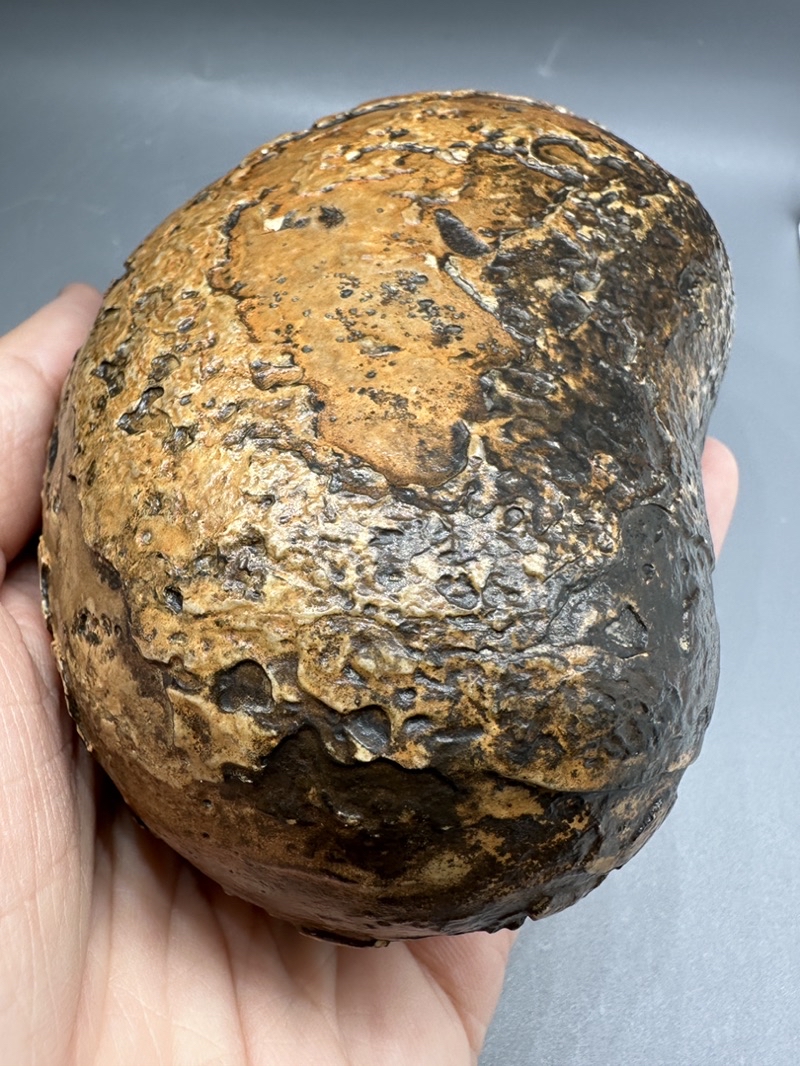 非洲。埃及。古磐石。乍德古磐石。戈壁石。蛋白石。象形。組合。奇怪的石頭。 | 蝦皮購物