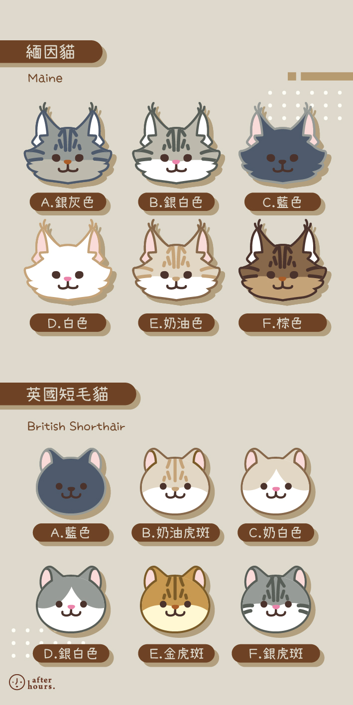 NFC版 【貓咪款 Cats】客製化電繡寵物名牌 /刺繡寵物名牌/ 寵物名牌 #Afterhours Studio | 蝦皮購物