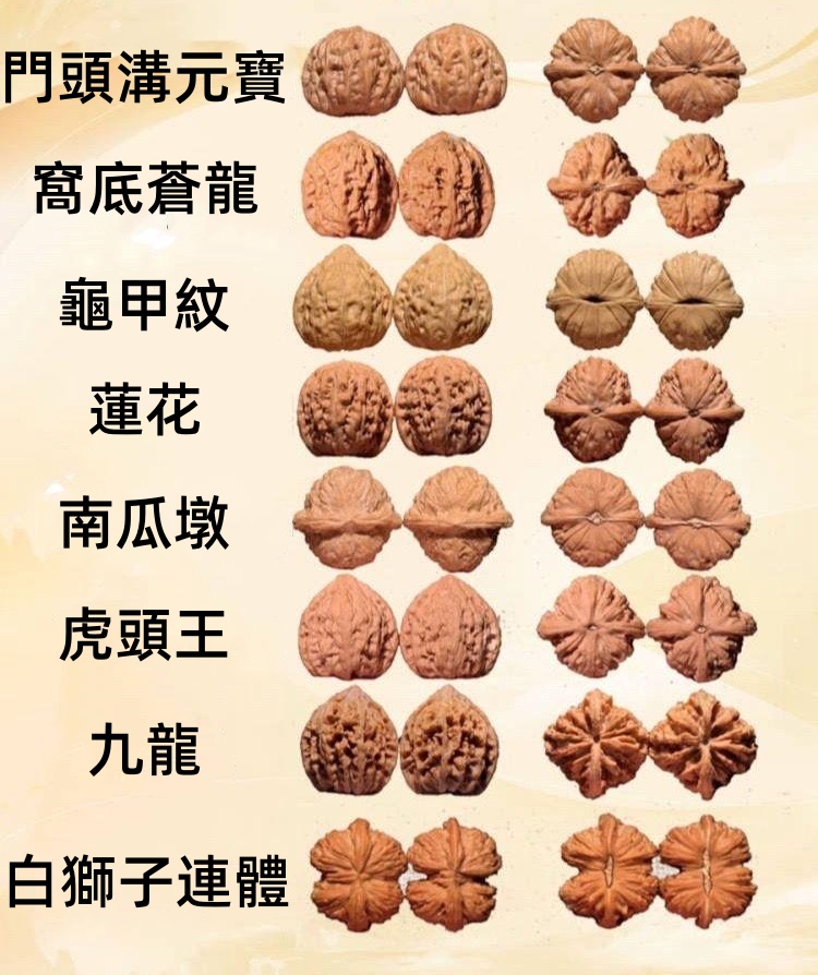 tw-11134208-7rasc-m0e3b0ddt5ubc7