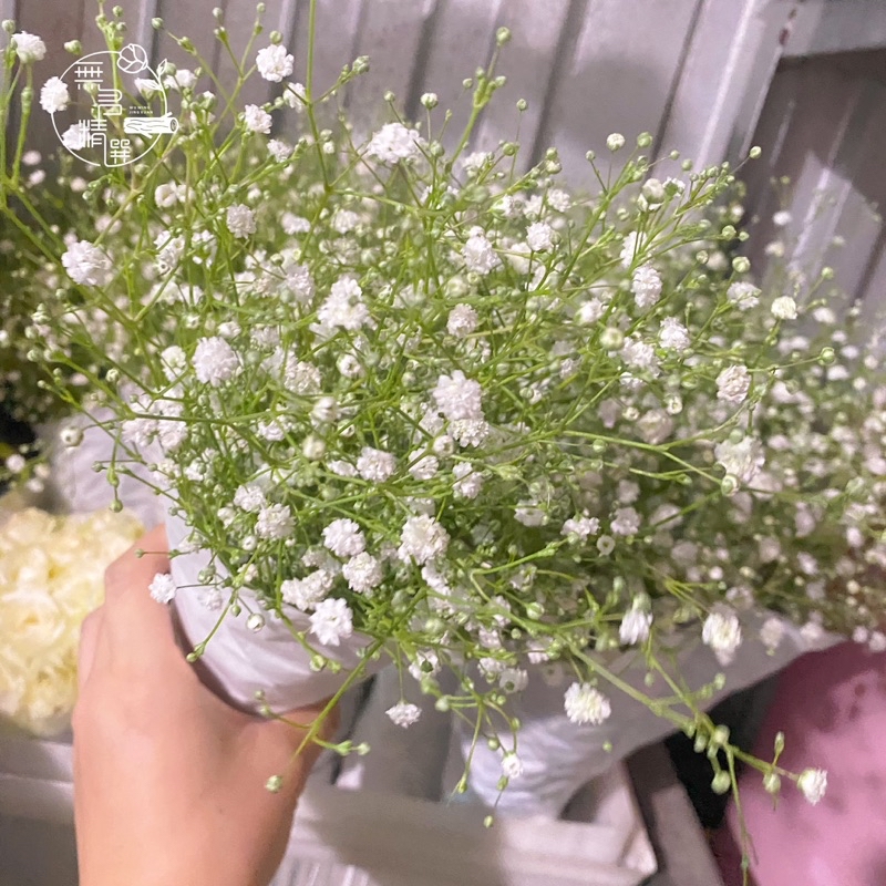各式 鮮花 花束 現貨 玫瑰 桔梗 百合