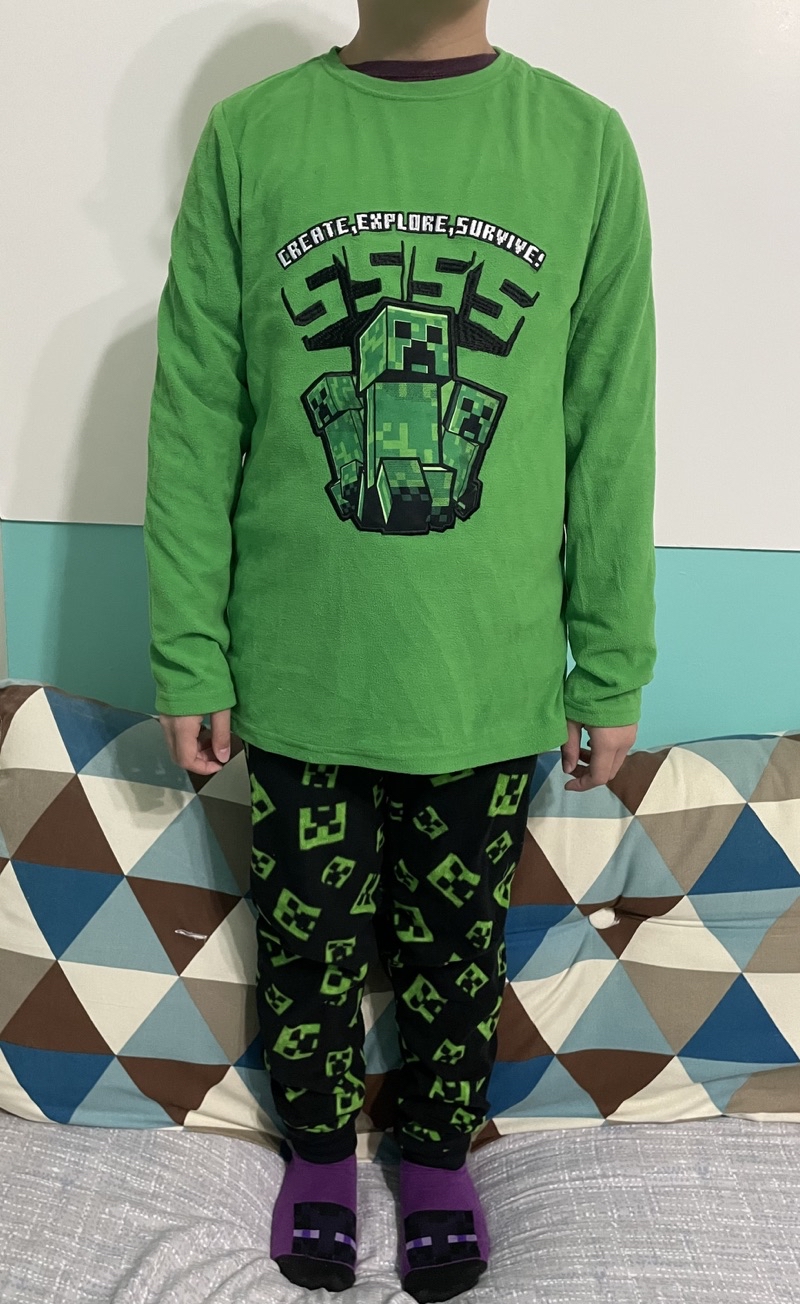 現貨🖤外貿原單Minecraft我的世界麥塊衣服創世神苦力怕史帝夫冬季薄款搖拉絨居家服套裝睡衣兒童長袖上衣褲子 | 蝦皮購物