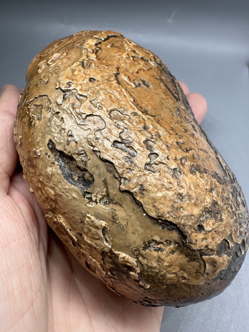 非洲。埃及。古磐石。乍德古磐石。戈壁石。蛋白石。象形。組合。奇怪的石頭。 | 蝦皮購物