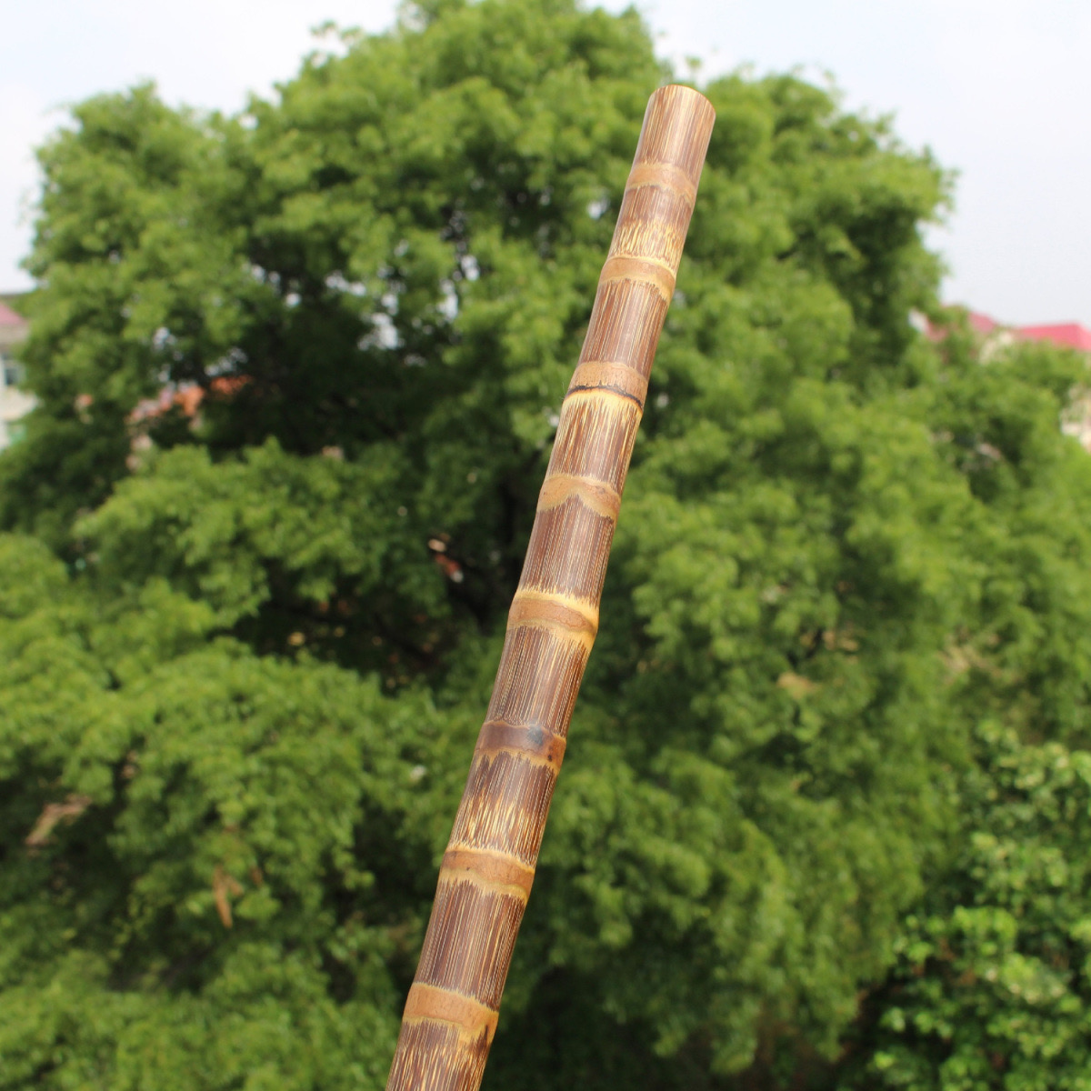 （免運）實心竹龍血金絲竹戒尺教師專用家用家規家訓教育根老料教鞭舞蹈棒 | 蝦皮購物