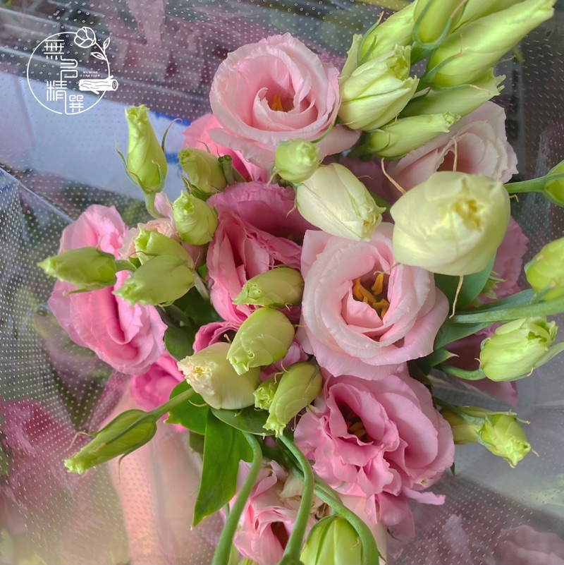 各式 鮮花 花束 現貨 玫瑰 桔梗 百合