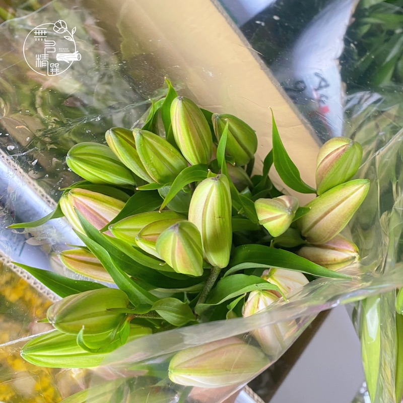各式 鮮花 花束 現貨 玫瑰 桔梗 百合