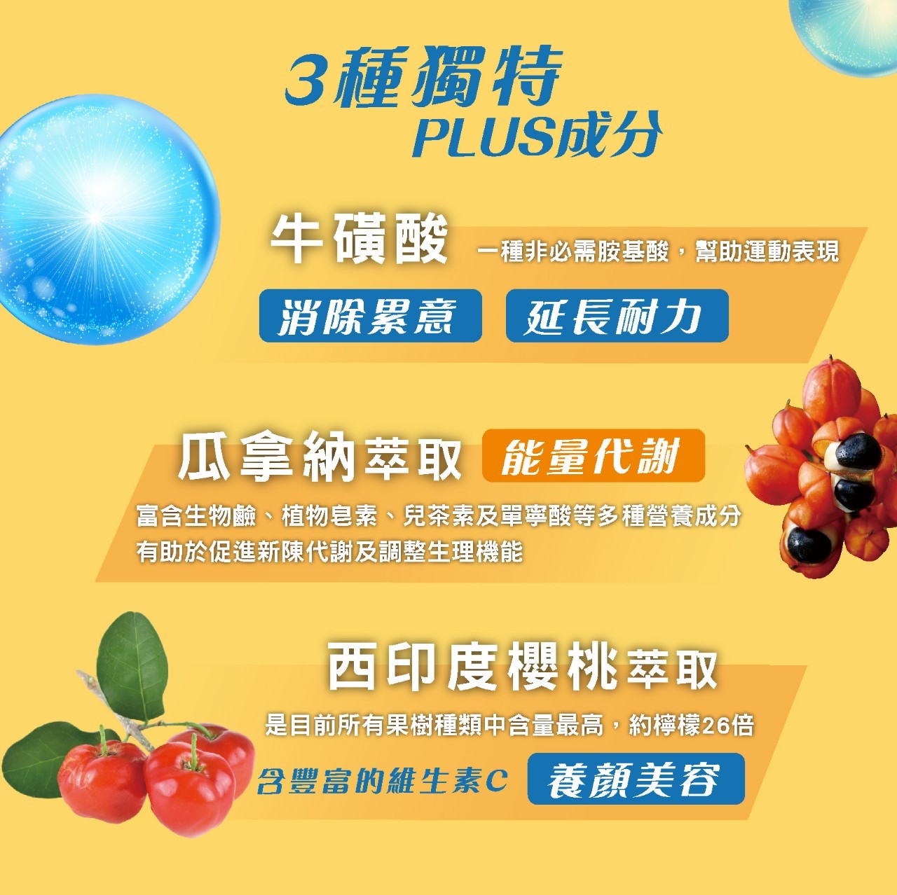 美百優 MedBIO 牛樟芝 B群 + 鋅 膠囊 30入 天然咖啡因 專利牛樟芝 酵母B群 酵母鋅 牛B男 生醫 生技 | 蝦皮購物
