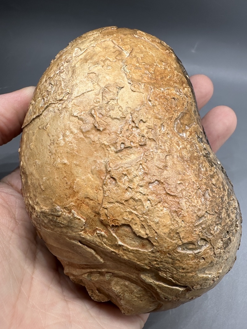 非洲。埃及。古磐石。乍德古磐石。戈壁石。蛋白石。象形。組合。奇怪的石頭。 | 蝦皮購物
