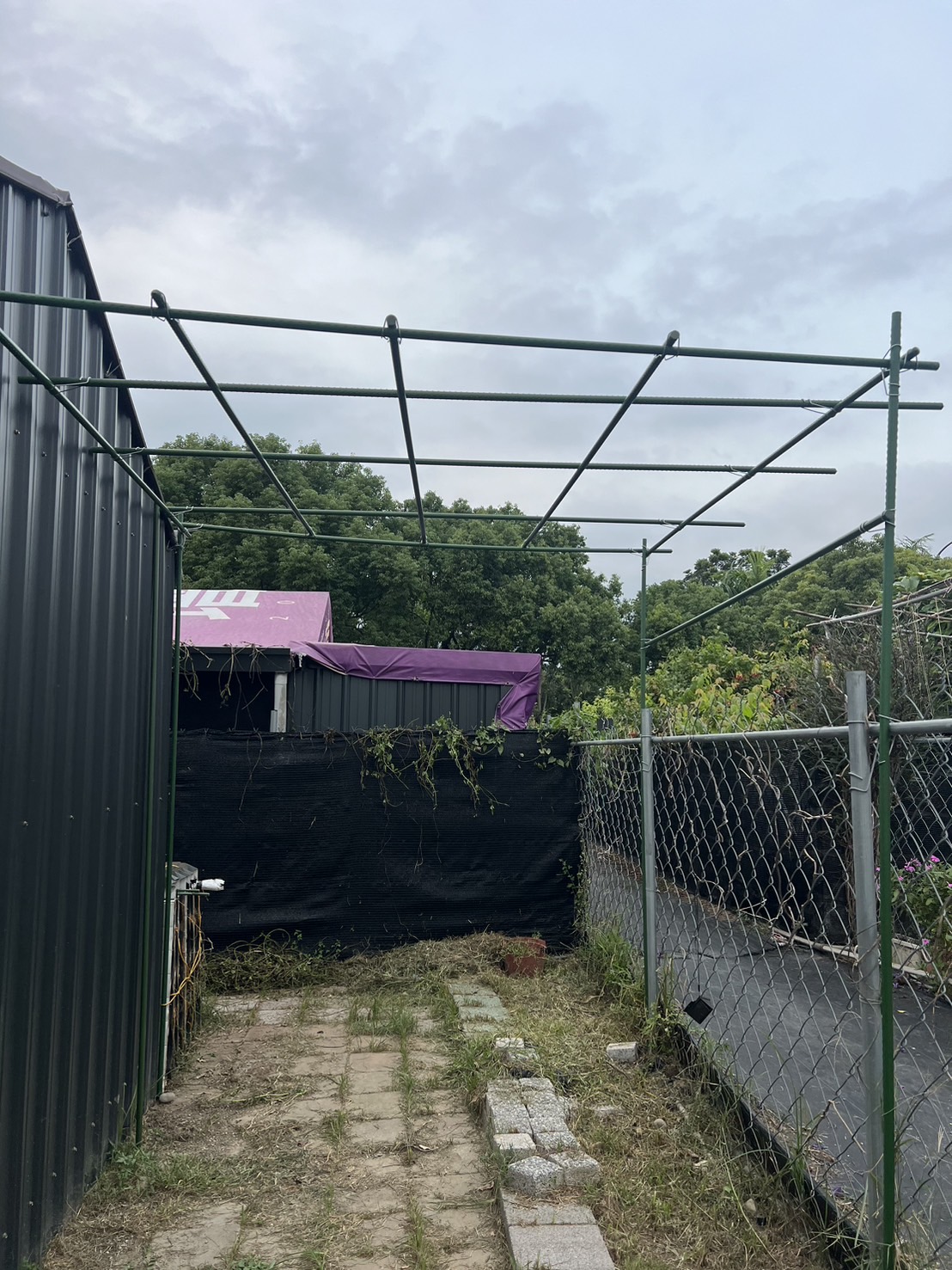 【免運費 高雄現貨】瓜果棚架 超長組【整套全配/市售20mm最粗最耐重】網室架溫室菜園爬藤架 有機果園包塑鋼管 鐵竹桿架 | 蝦皮購物