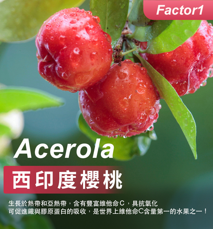 未來森活【植萃維C】西印度櫻桃30粒｜養顏抗氧化 天然維生素C | 蝦皮購物