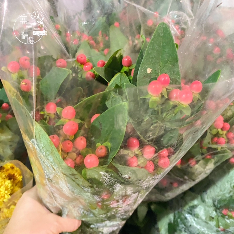各式 鮮花 花束 現貨 玫瑰 桔梗 百合