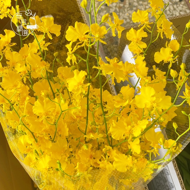 各式 鮮花 花束 現貨 玫瑰 桔梗 百合