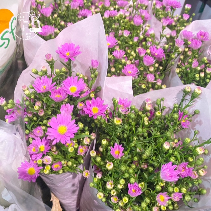 各式 鮮花 花束 現貨 玫瑰 桔梗 百合