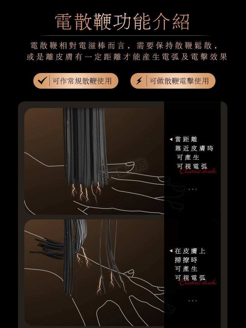 【台灣現貨】皮鞭 sm 情趣 Roomfun 房趣 電散鞭 電擊鞭 BDSM 情趣商品 情趣玩具 情趣皮鞭 成人 調教 | 蝦皮購物