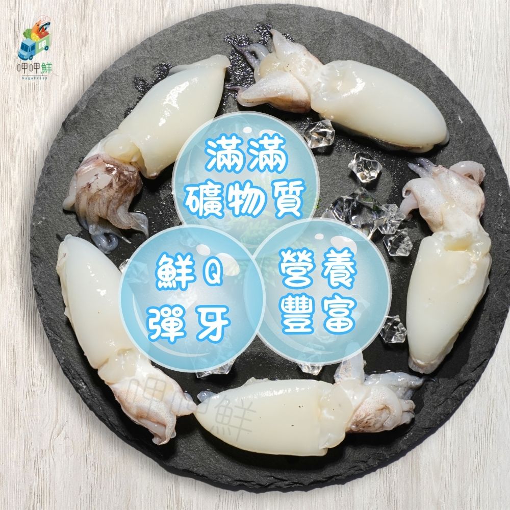 花枝｜小花枝180g 20/60｜鮮凍小花枝｜海鮮批發｜中秋烤肉｜水產｜串燒｜水產批發【呷呷鮮水產】 | 蝦皮購物