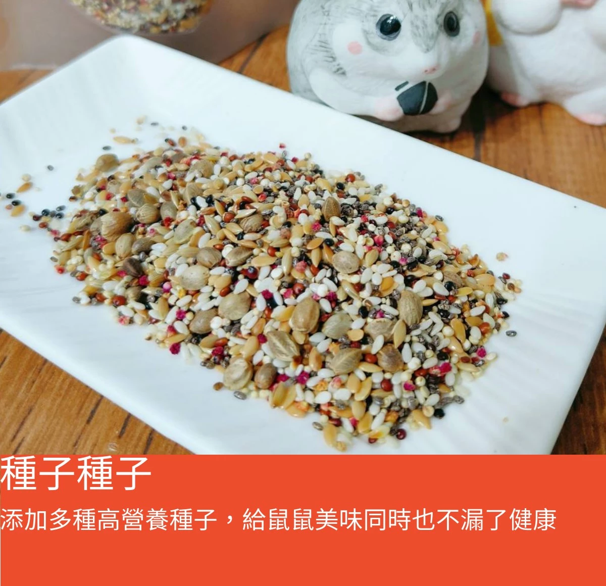 咩醬王國 種子種子 倉鼠 黃金鼠 侏儒鼠 飼料配角 | 蝦皮購物