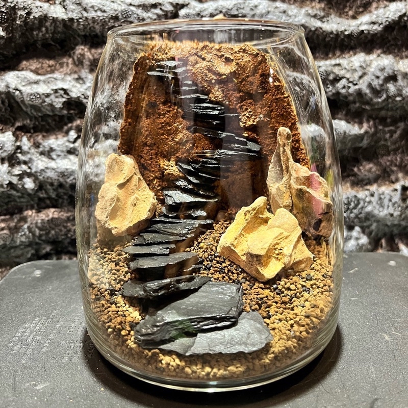 植茁🌿天然岩片 階梯石片 微景觀 苔蘚生態造景 半水景生態缸 | 蝦皮購物