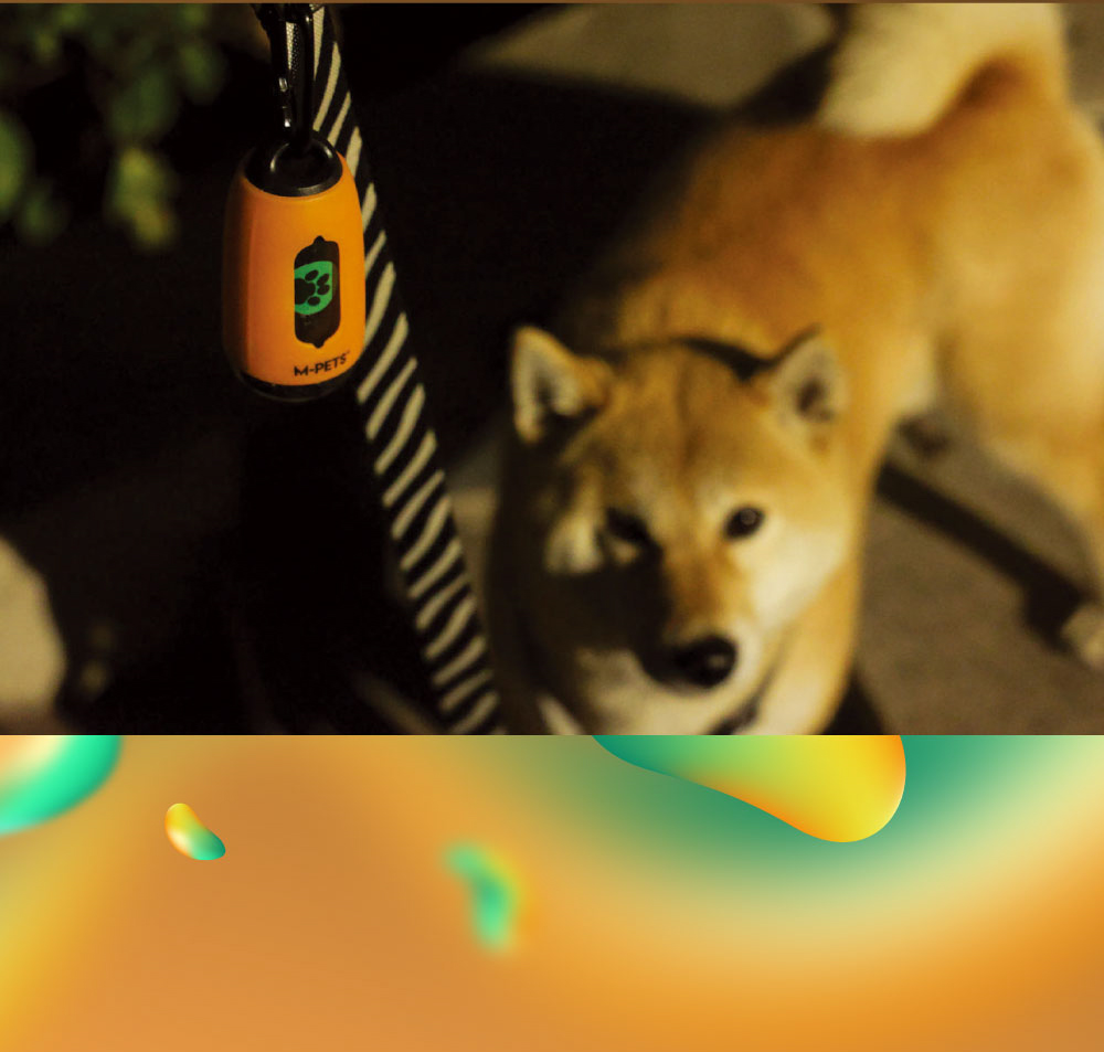 【M-PETS】犬用2合1LED手電筒便便袋｜便便袋與LED手電筒的組合&兩色可選擇｜毛毛走走 寵物生活館 | 蝦皮購物
