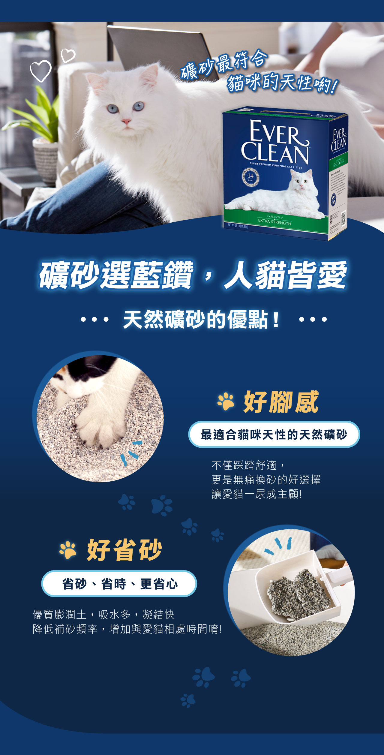 【藍鑽EverClean】超凝結低敏結塊貓砂 美規42lb 強效凝結除臭貓砂｜貝貝毛 | 蝦皮購物