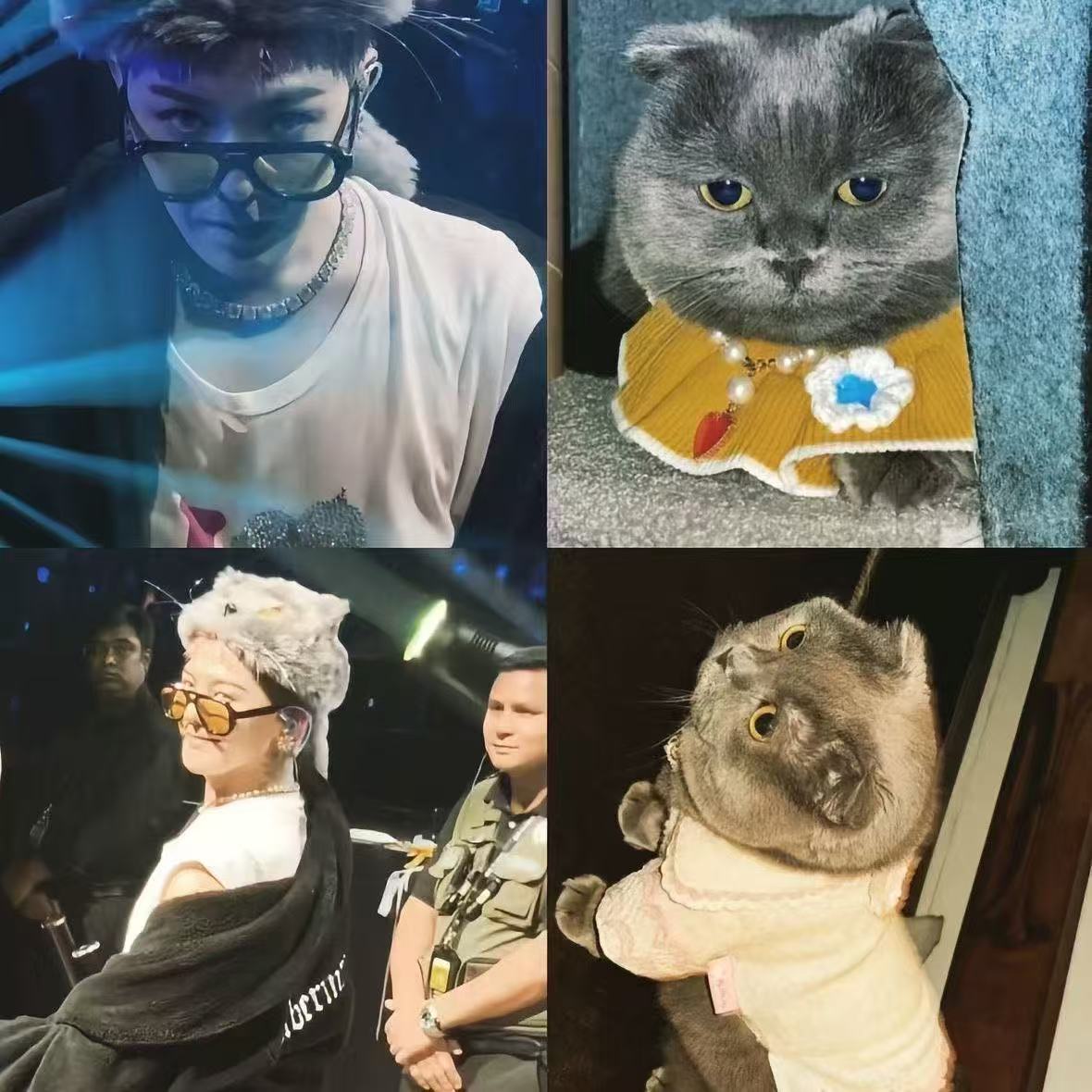 G-DRAGON權志龍zoa猫猫帽ins可愛貓頭帽G-DRAGON權志龍猫猫帽權志